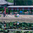 清華大キャンパス風景